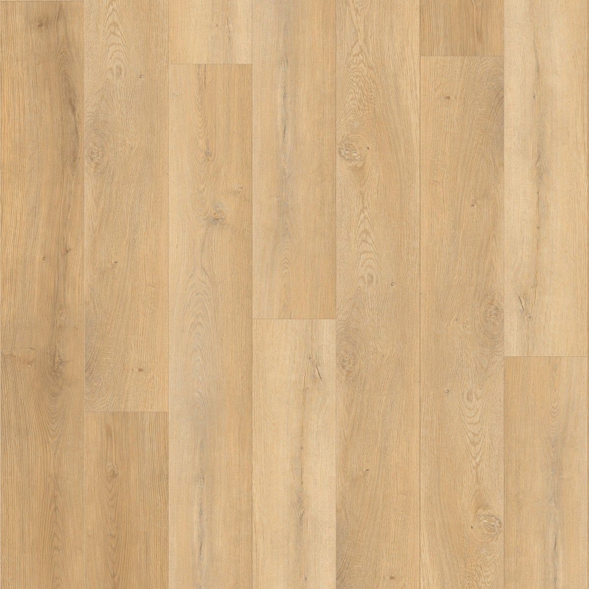 Toasted Timber