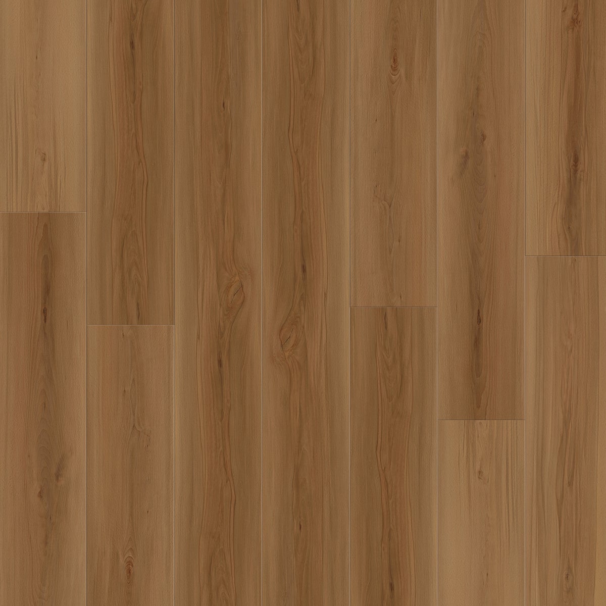 Burnt Sienna