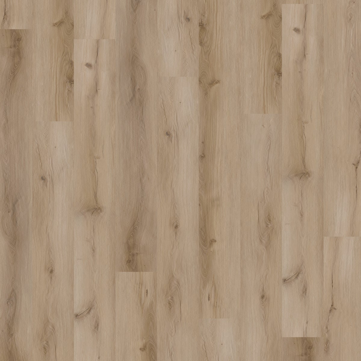 Light Maple